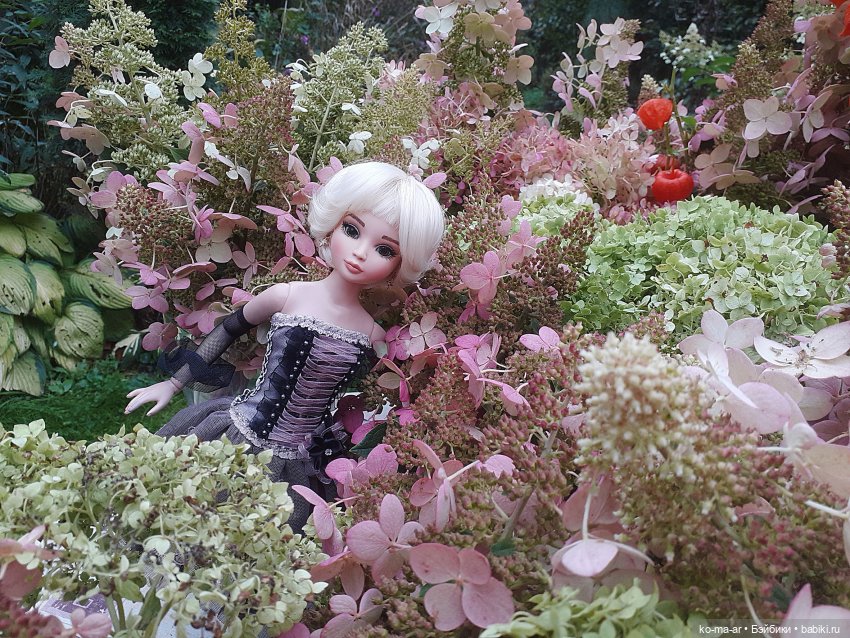 День гортензии и платья из старого сундука (фото 10)