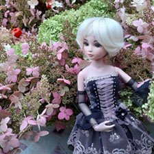 День гортензии и платья из старого сундука