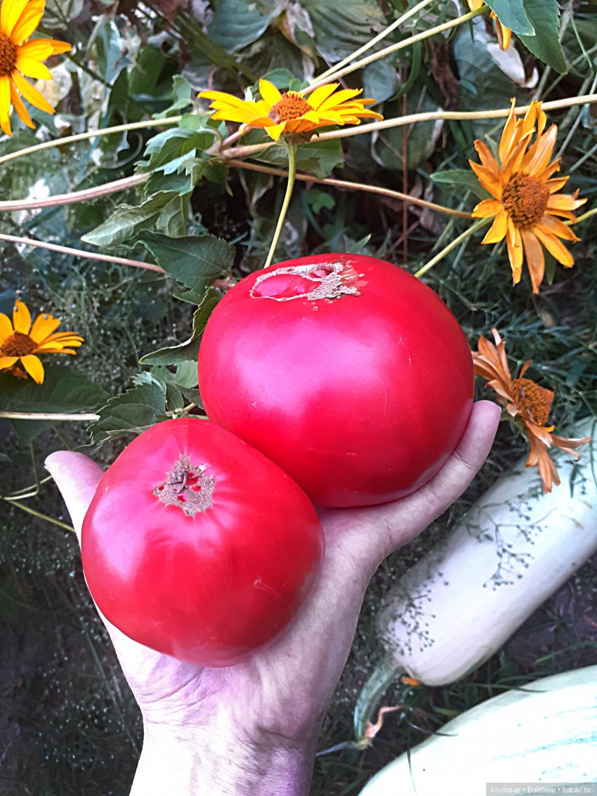 И еще одна моя новенькая авторская кукла | Бэйбики И еще одна моя новенькая авторская кукла