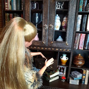 Рождение кукольного книжного шкафа