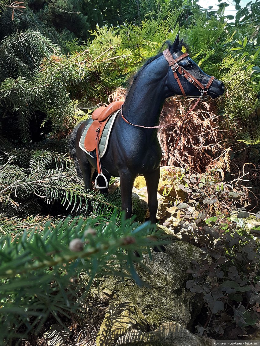 Лошадки — В мире животных: смешные фото питомцев и зверей (фото 4)