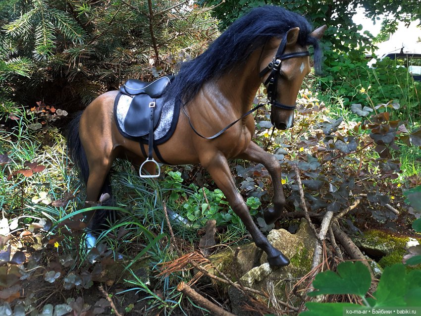Лошадки — В мире животных: смешные фото питомцев и зверей (фото 10)