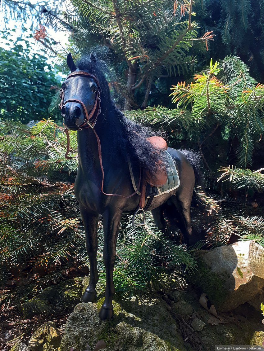 Лошадки — В мире животных: смешные фото питомцев и зверей (фото 5)