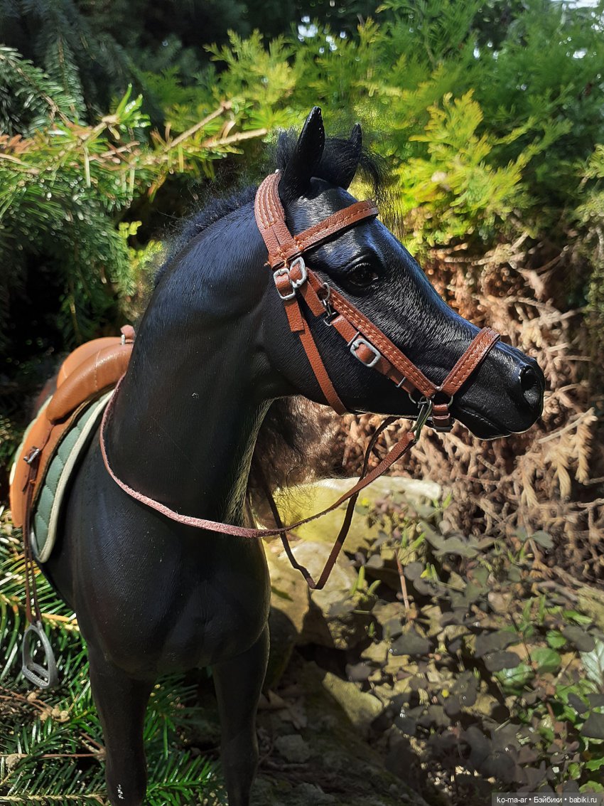 Лошадки — В мире животных: смешные фото питомцев и зверей (фото 6)