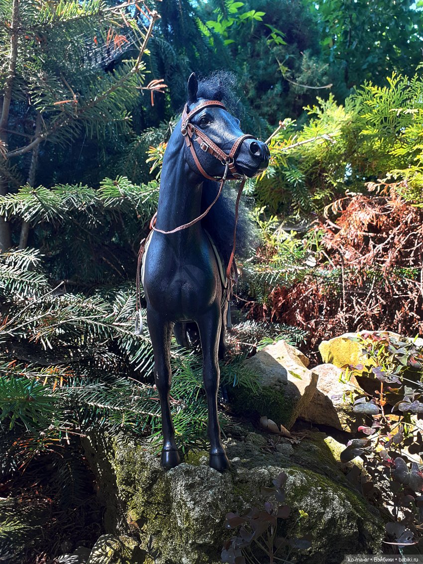 Лошадки — В мире животных: смешные фото питомцев и зверей (фото 3)