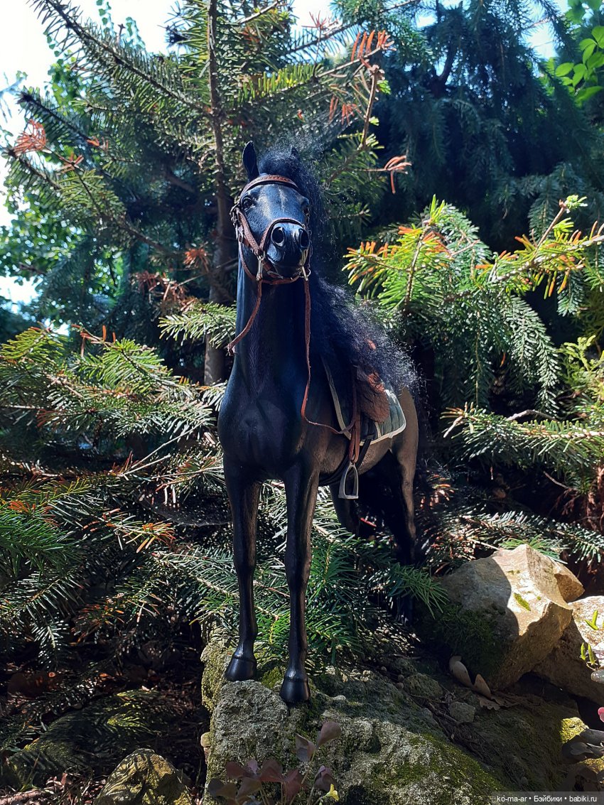 Лошадки — В мире животных: смешные фото питомцев и зверей (фото 2)