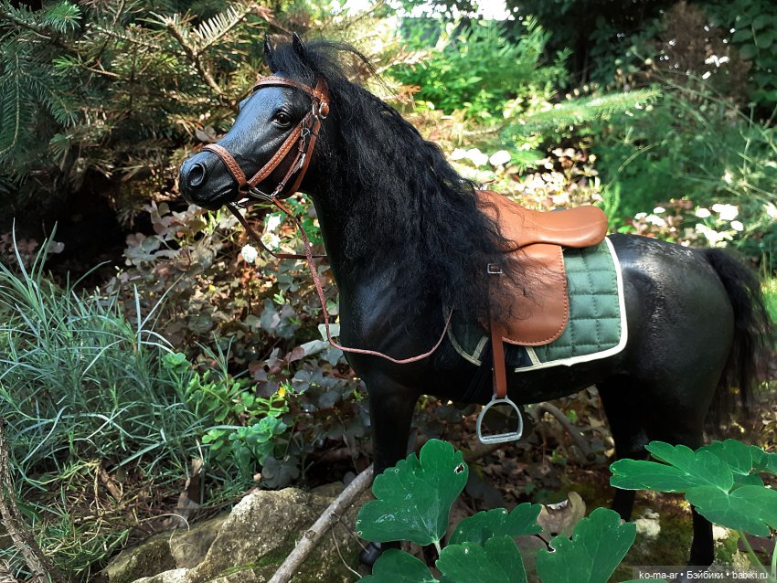 Лошадки — В мире животных: смешные фото питомцев и зверей (фото 7)