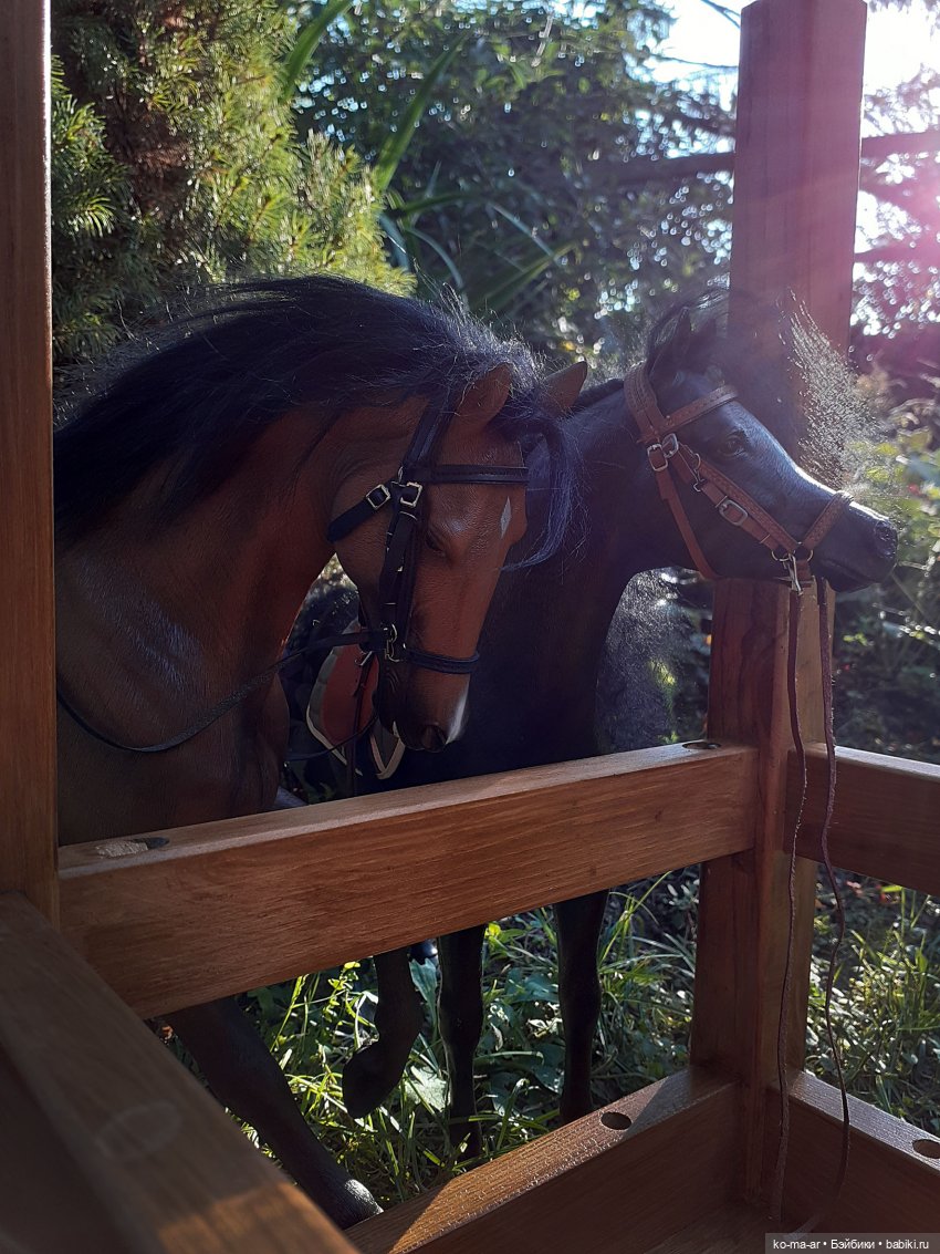 Послесловие — Интересное и необычное: фотоподборки