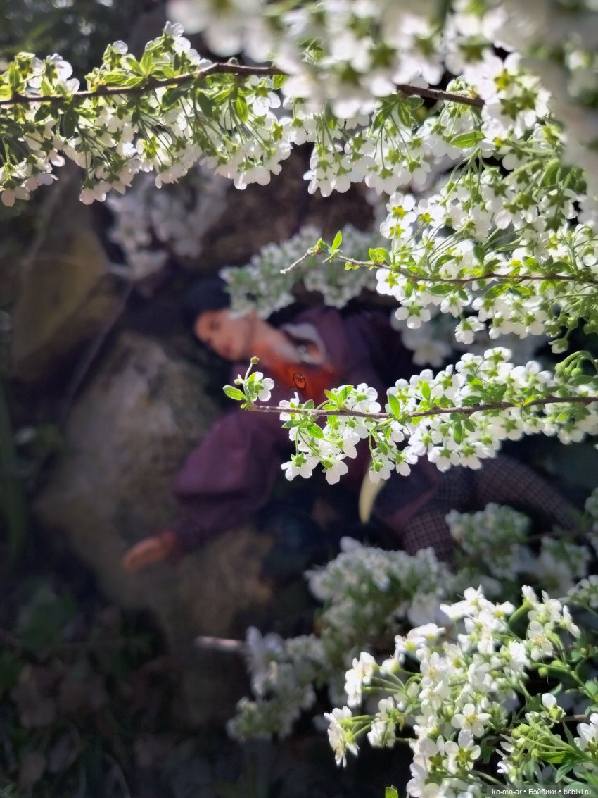 Вампиры / 2 серия — Кукольные фотоистории и сериалы: комиксы