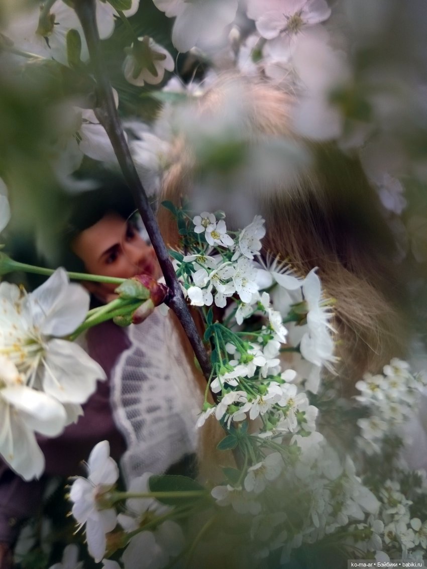 Вампиры / 2 серия — Кукольные фотоистории и сериалы: комиксы