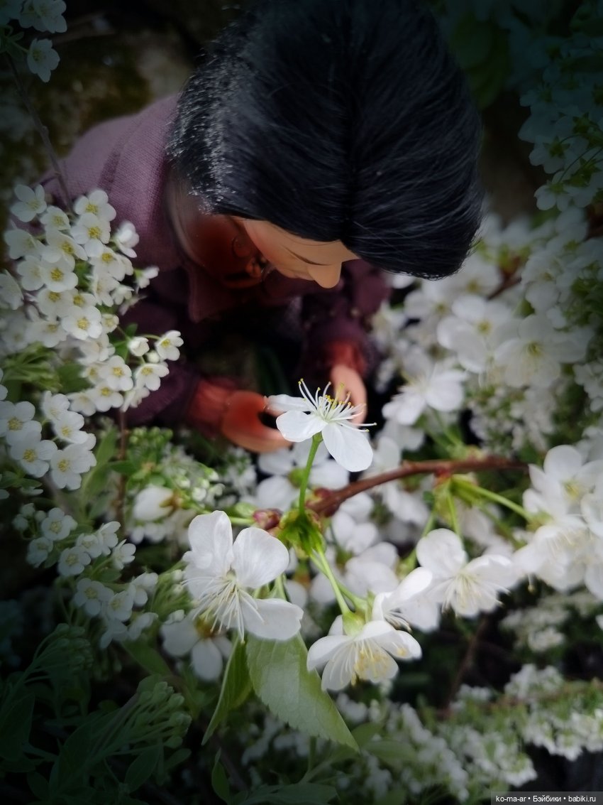 Вампиры / 2 серия — Кукольные фотоистории и сериалы: комиксы