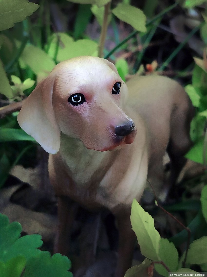 Вампиры / 3 серия — Кукольные фотоистории и сериалы: комиксы