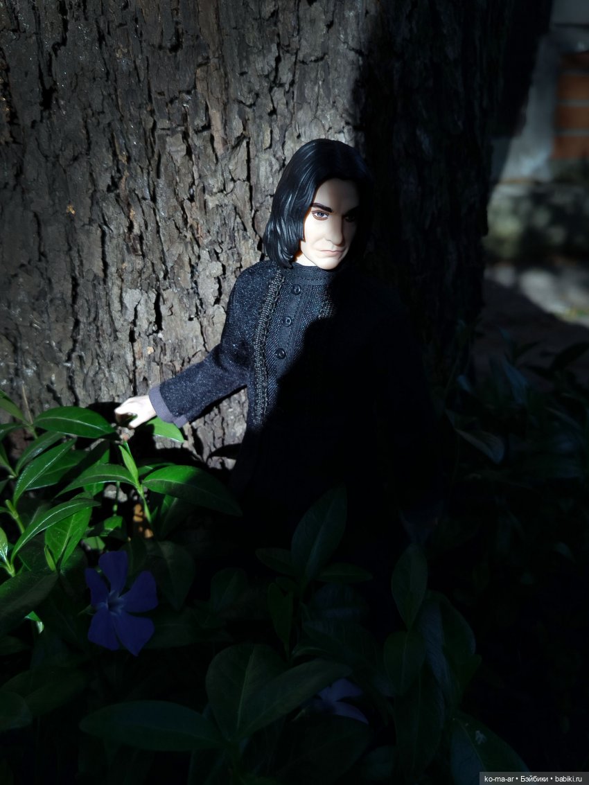 Вампиры / 7 серия | Бэйбики Вампиры / 7 серия — Кукольные фотоистории и сериалы: комиксы