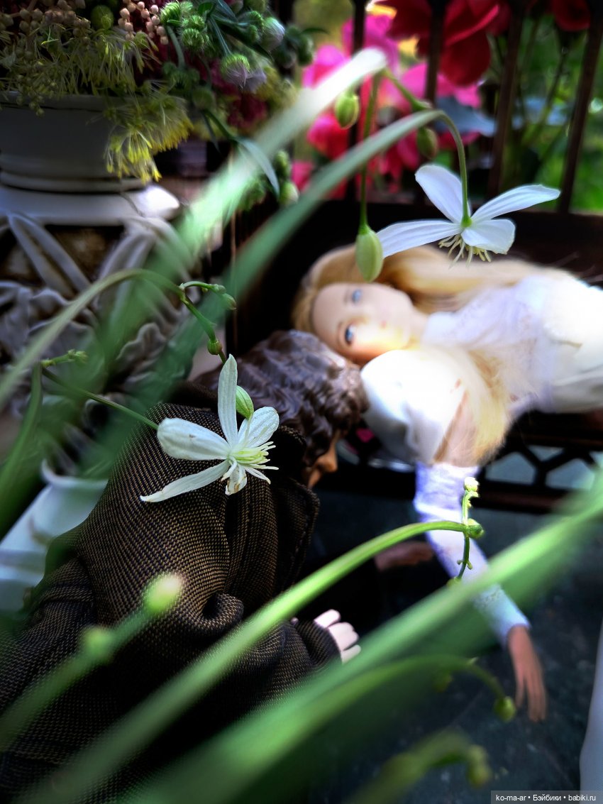 Вампиры / 24 серия — Кукольные фотоистории и сериалы: комиксы