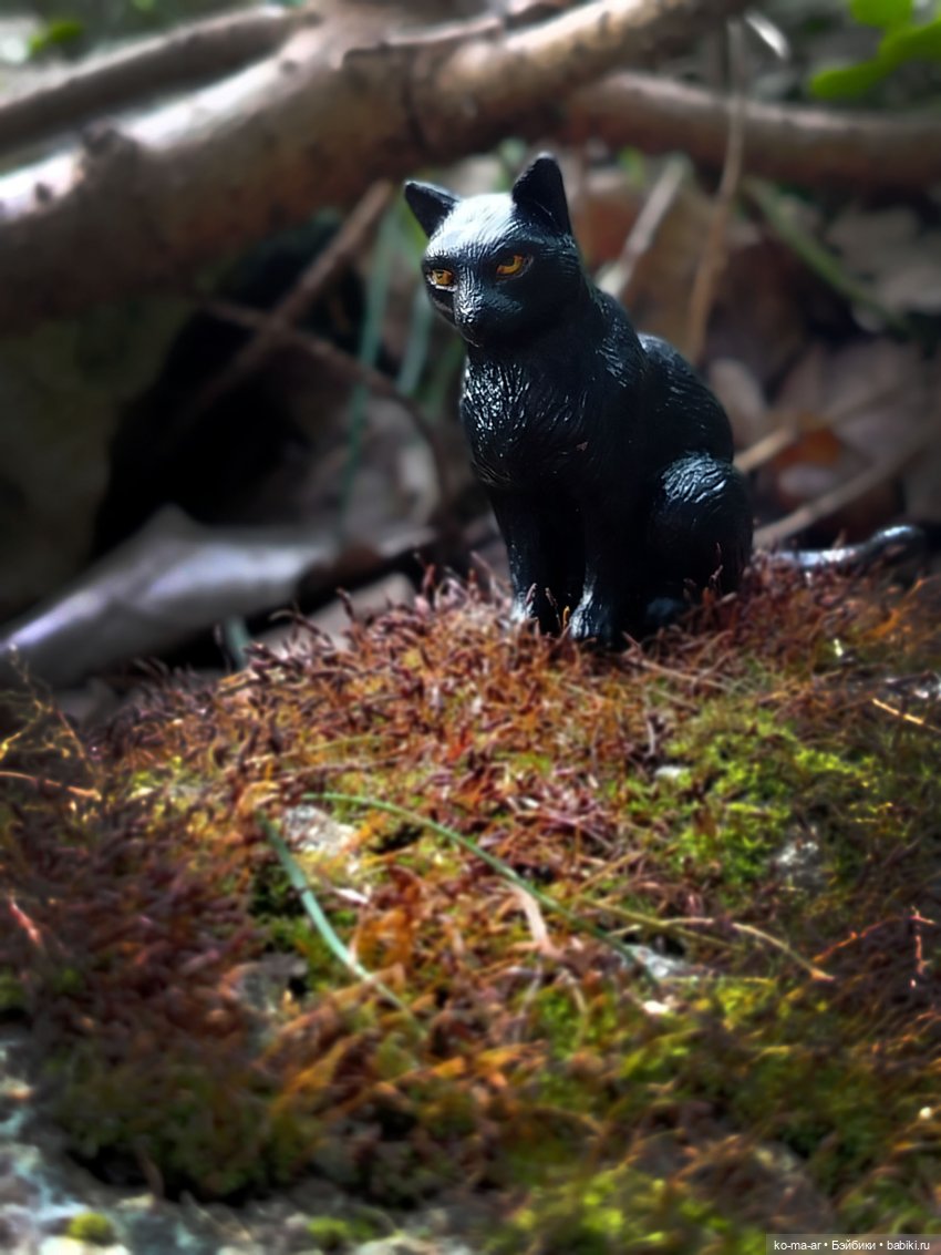 Вампиры / 26 серия — Кукольные фотоистории и сериалы: комиксы