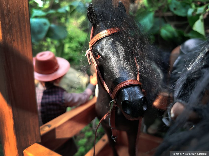 Вампиры / 26 серия — Кукольные фотоистории и сериалы: комиксы