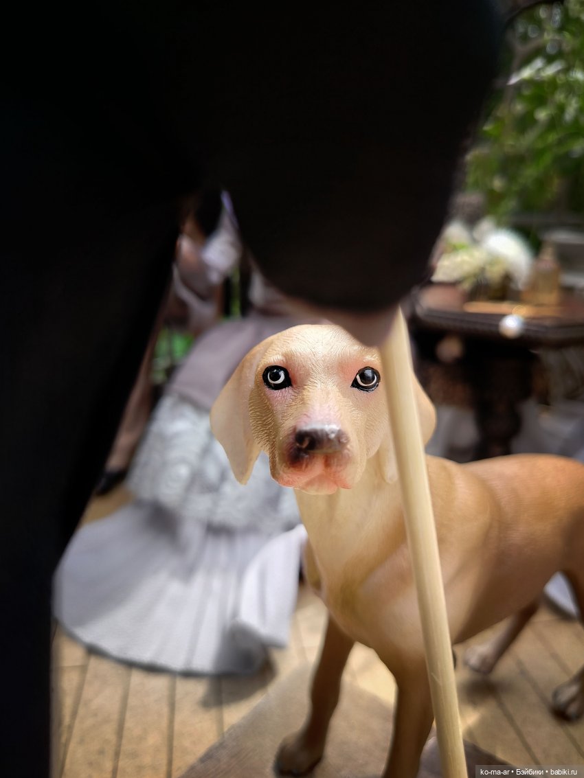 Вампиры / 38 серия — Кукольные фотоистории и сериалы: комиксы