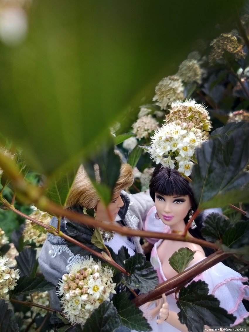 Вампиры / 38 серия — Кукольные фотоистории и сериалы: комиксы