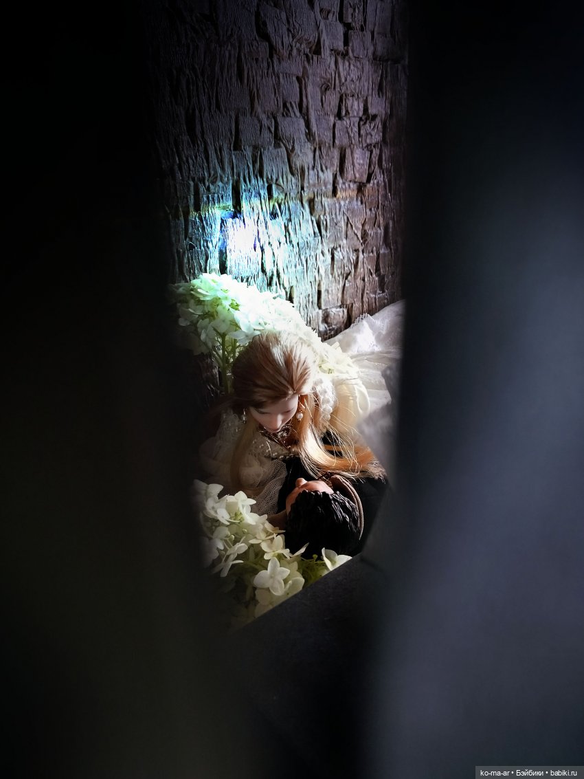 Анонс / Вампиры или семейные хроники графов Дракула-Карди