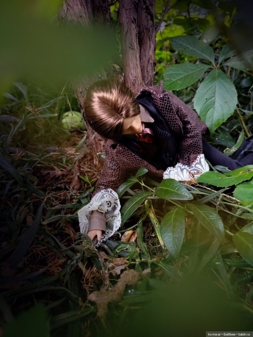 Вампиры / 49 серия — Кукольные фотоистории и сериалы: комиксы