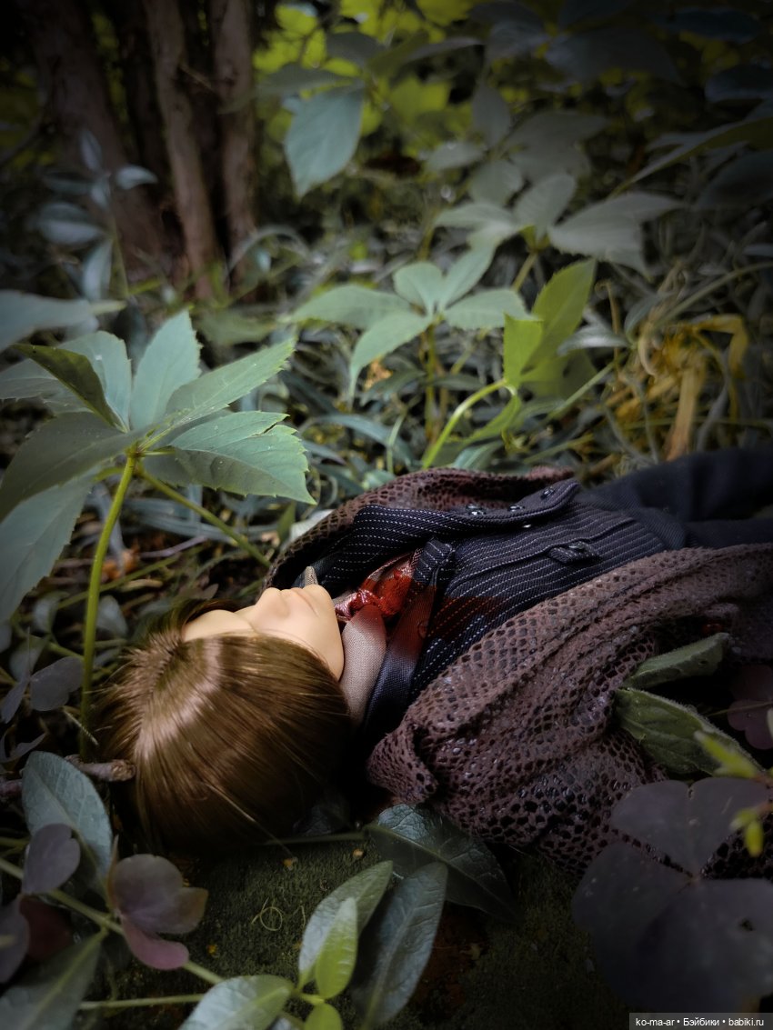 Вампиры / 49 серия — Кукольные фотоистории и сериалы: комиксы