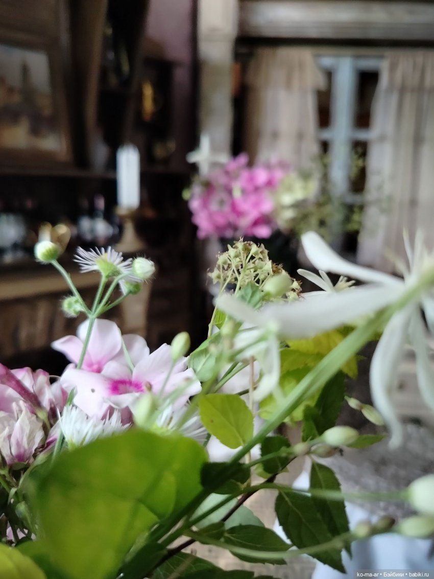 Вампиры / 31 серия — Кукольные фотоистории и сериалы: комиксы