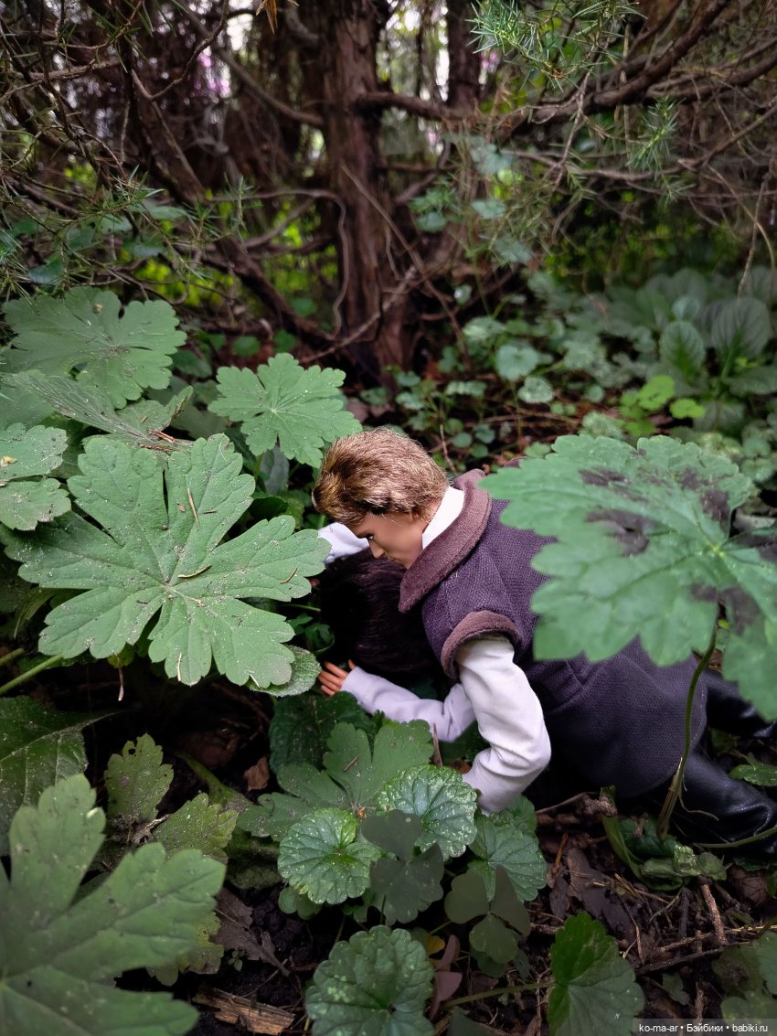 Вампиры / 42 серия — Кукольные фотоистории и сериалы: комиксы