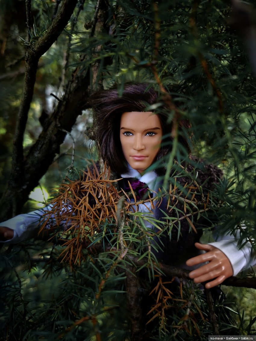 Вампиры / 42 серия — Кукольные фотоистории и сериалы: комиксы