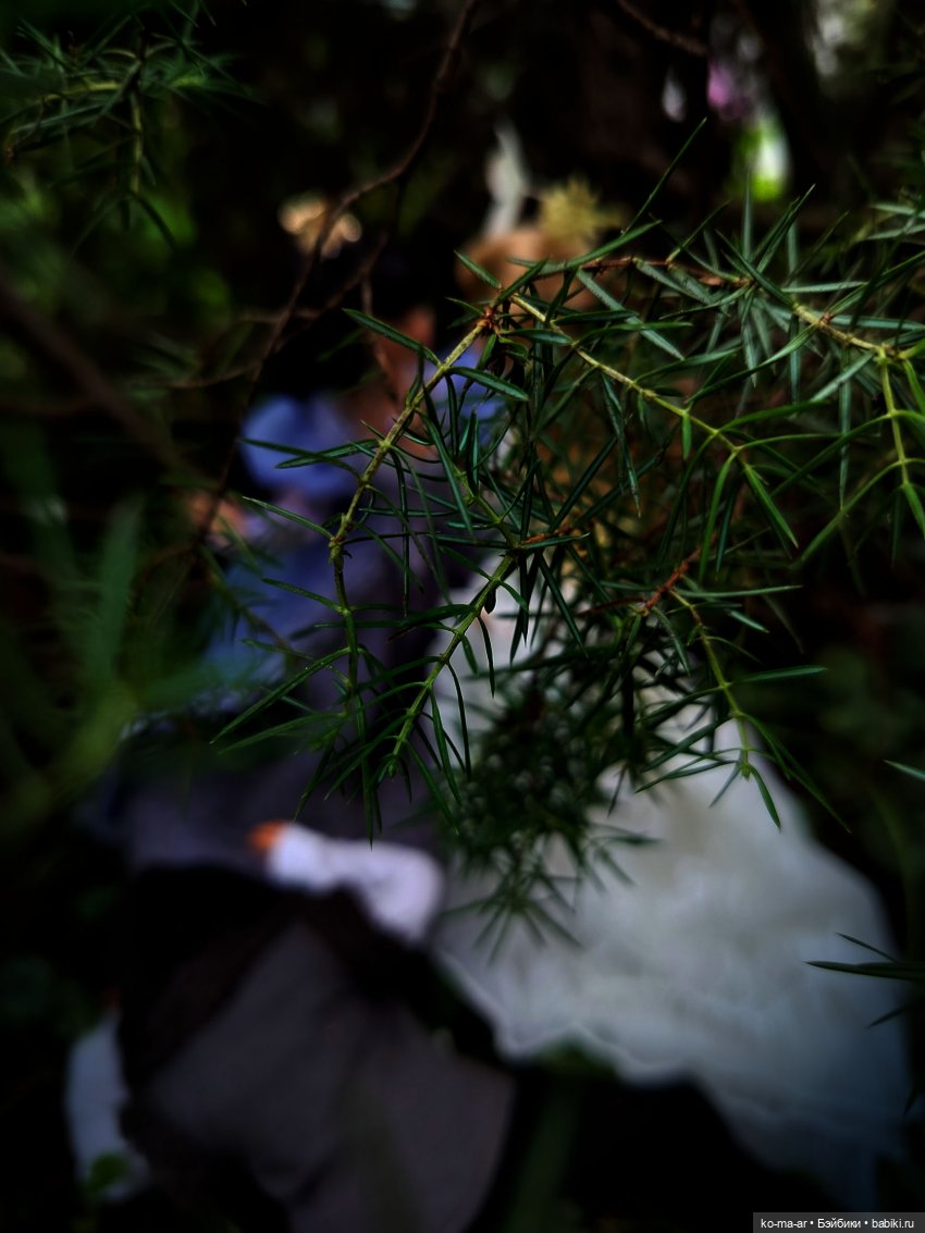 Вампиры / 42 серия — Кукольные фотоистории и сериалы: комиксы