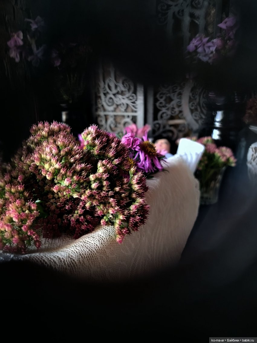 Вампиры / 54 серия — Кукольные фотоистории и сериалы: комиксы