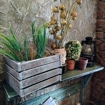 Цветочная комната. Зимний сезон