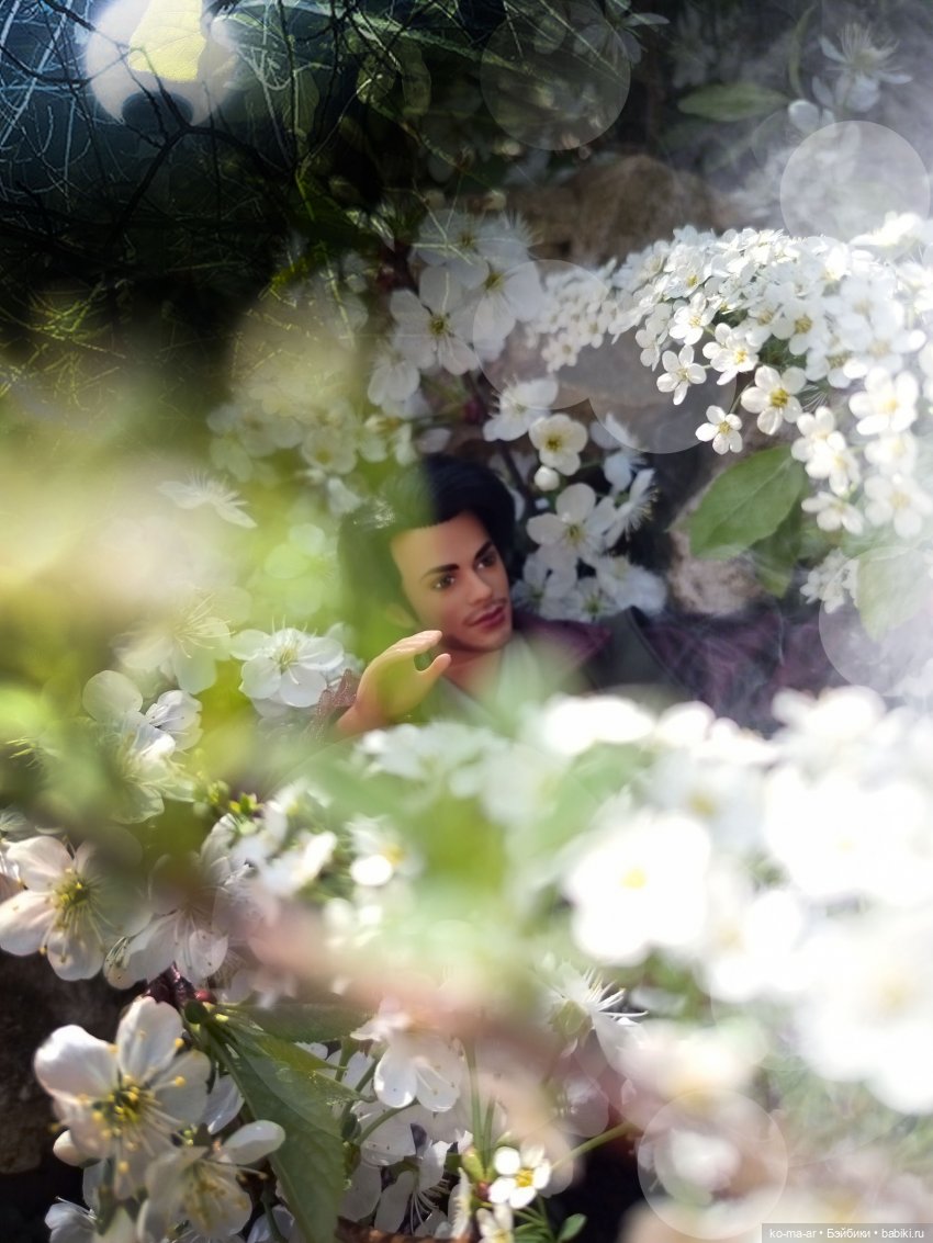 Подборка фото из архива / 1 (фото 2)