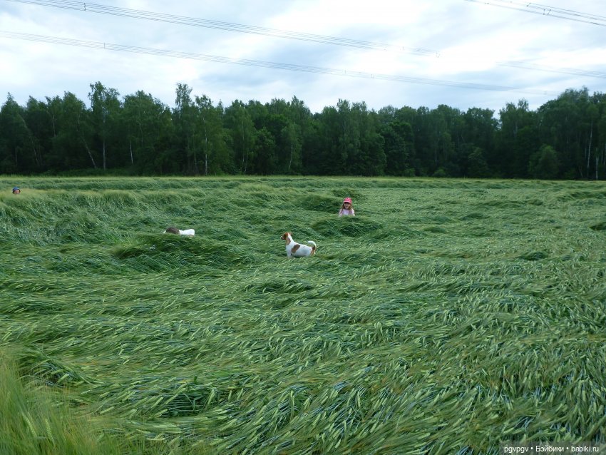 Сочинение на тему «Как я провел лето»