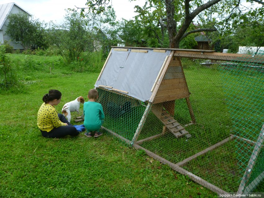 Сочинение на тему «Как я провел лето» (фото 9)