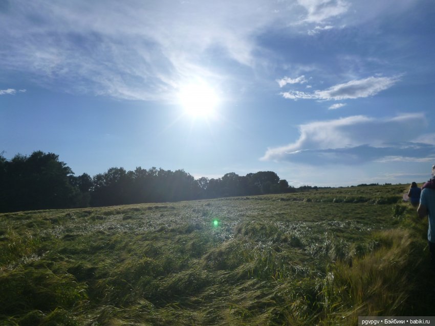 Сочинение на тему «Как я провел лето»