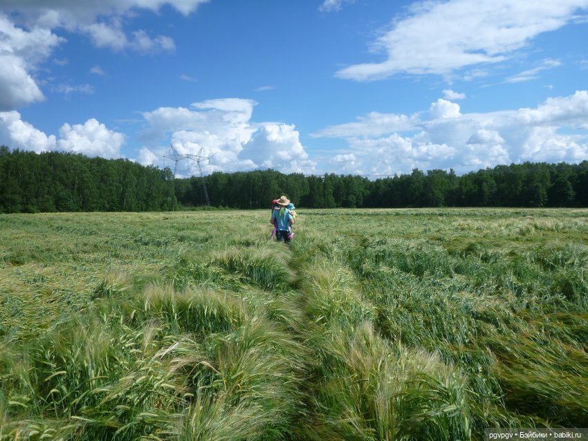 Сочинение на тему «Как я провел лето»