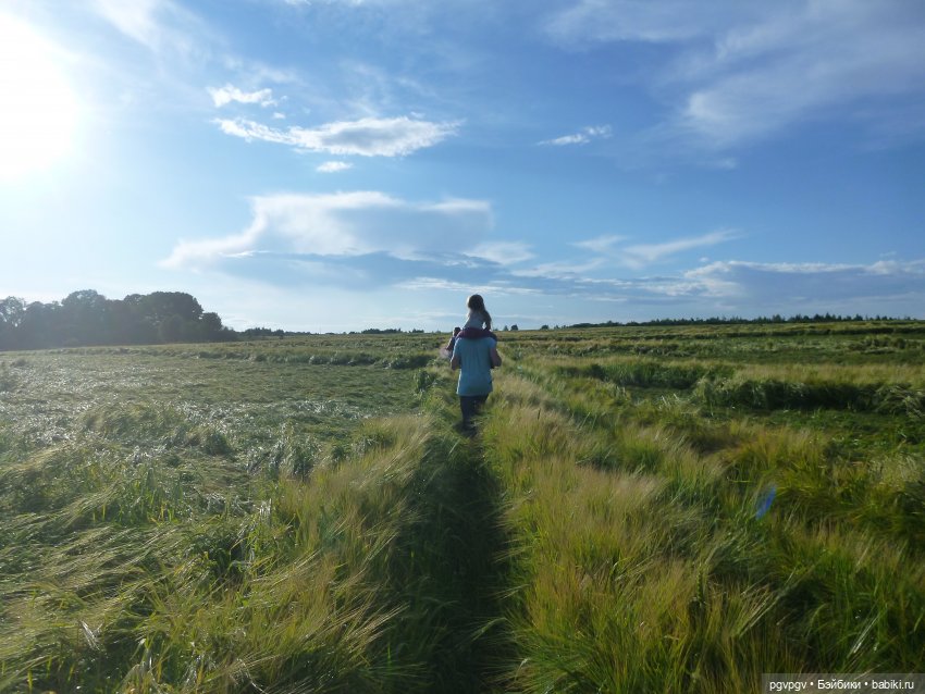 Сочинение на тему «Как я провел лето»