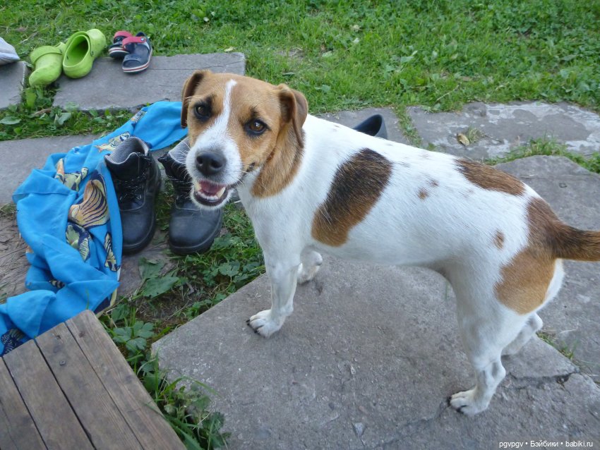 Сочинение на тему «Как я провел лето» (фото 3)