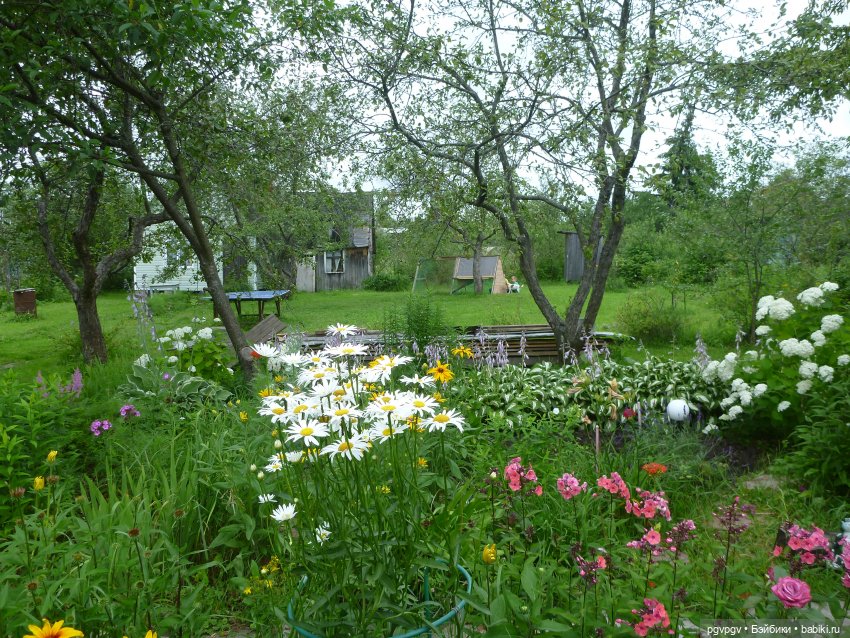 Сочинение на тему «Как я провел лето» (фото 2)