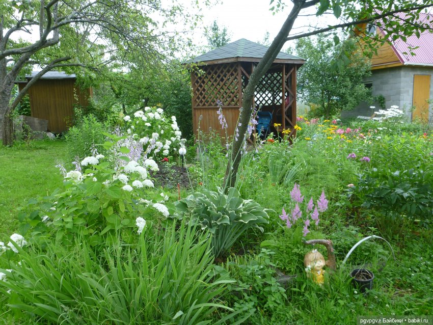 Сочинение на тему «Как я провел лето»