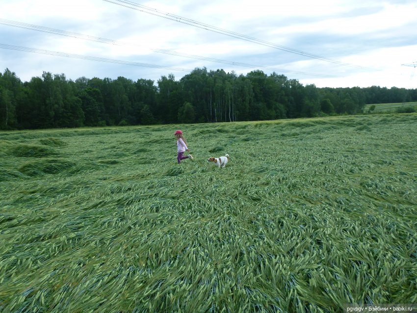 Сочинение на тему «Как я провел лето»