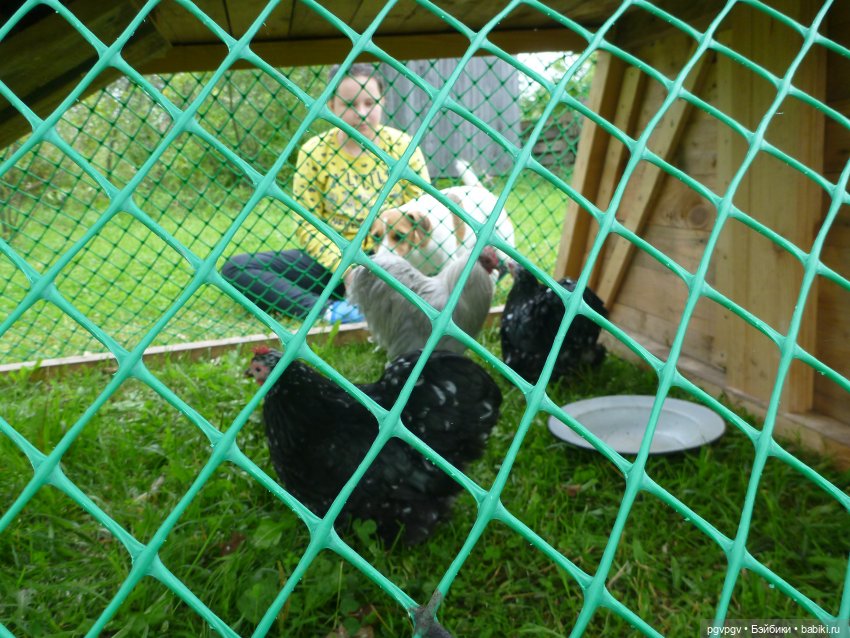 Сочинение на тему «Как я провел лето» (фото 8)