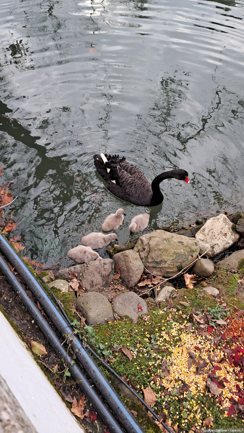 Природа Сочи в марте — Туризм и путешествия: фотоотчеты из поездок