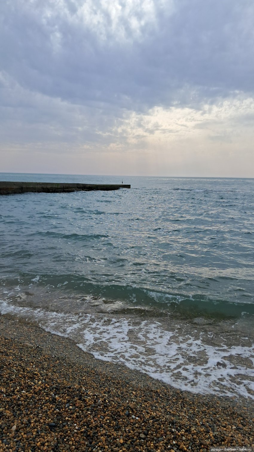 Природа Сочи в марте — Туризм и путешествия: фотоотчеты из поездок