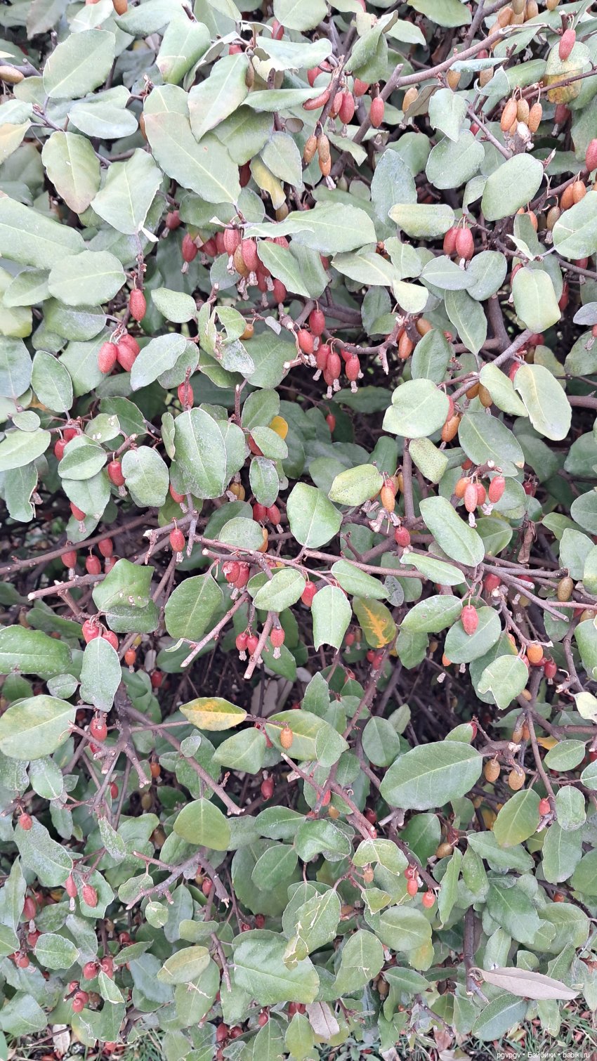 Природа Сочи в марте — Туризм и путешествия: фотоотчеты из поездок