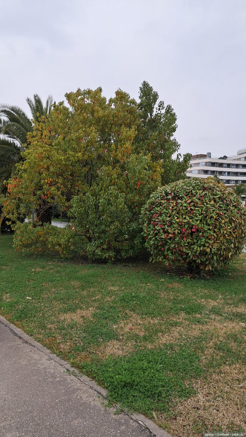 Природа Сочи в марте — Туризм и путешествия: фотоотчеты из поездок