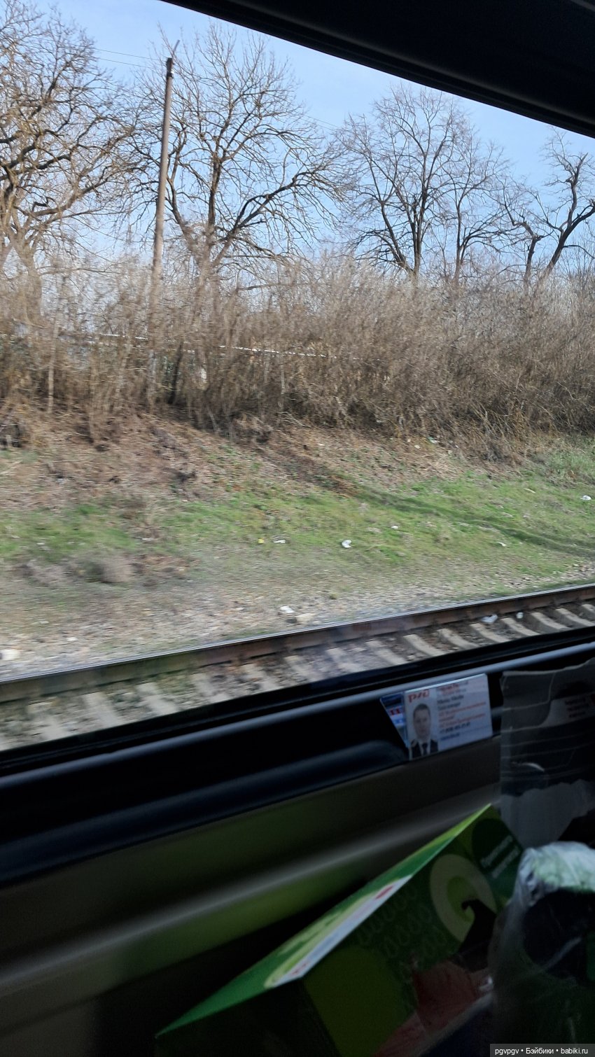 Природа Сочи в марте — Туризм и путешествия: фотоотчеты из поездок (фото 2)