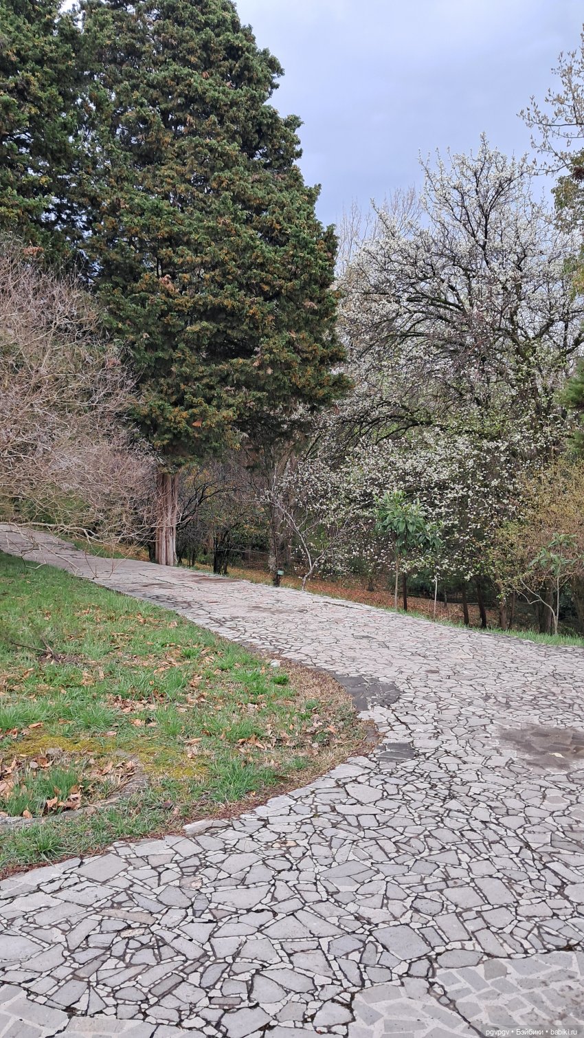 Природа Сочи в марте — Туризм и путешествия: фотоотчеты из поездок