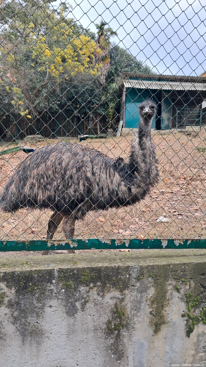 Природа Сочи в марте — Туризм и путешествия: фотоотчеты из поездок