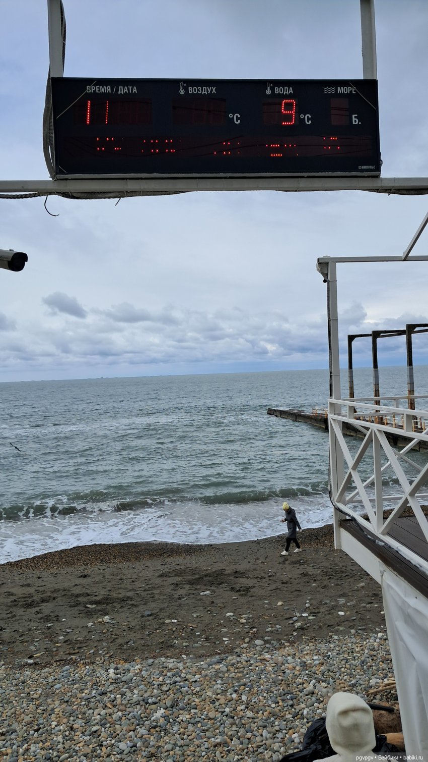 Природа Сочи в марте — Туризм и путешествия: фотоотчеты из поездок